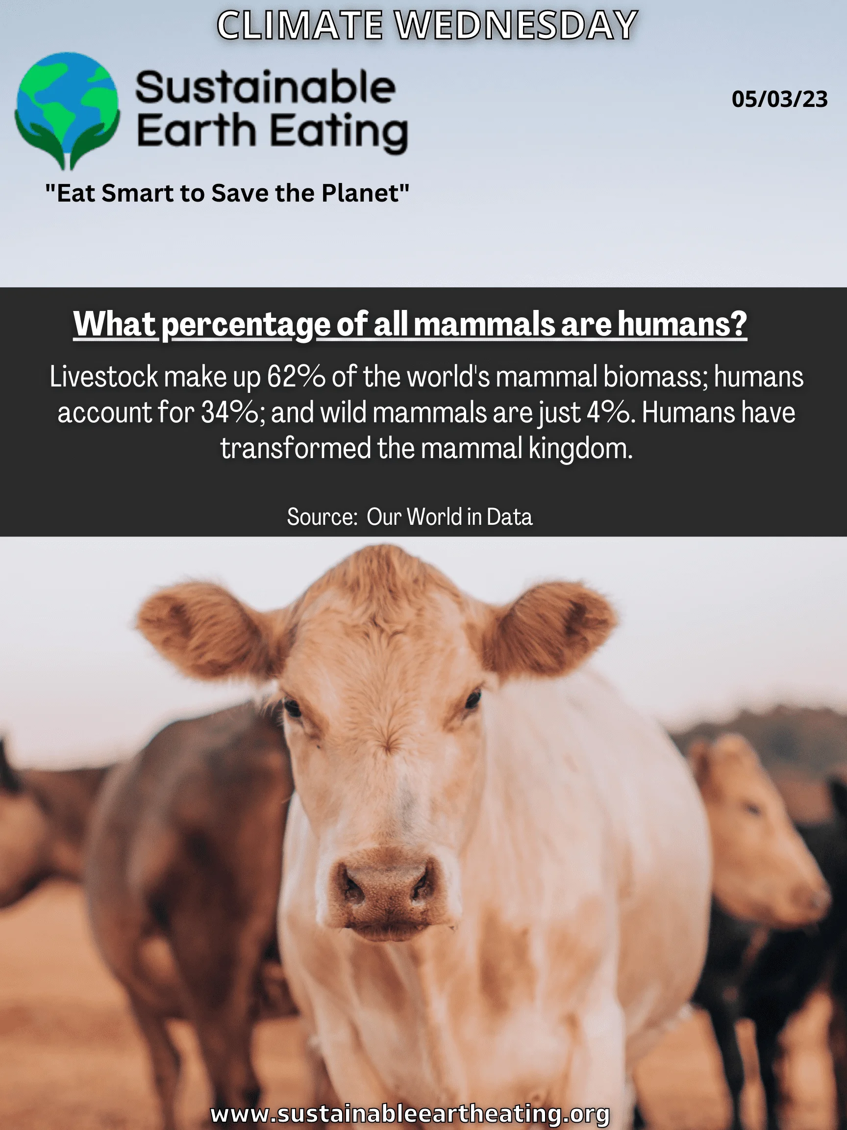 Animal agriculture deforestation